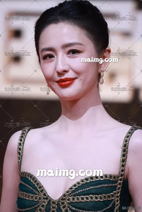 佟丽娅 搜狐红毯