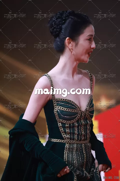 佟丽娅 搜狐红毯