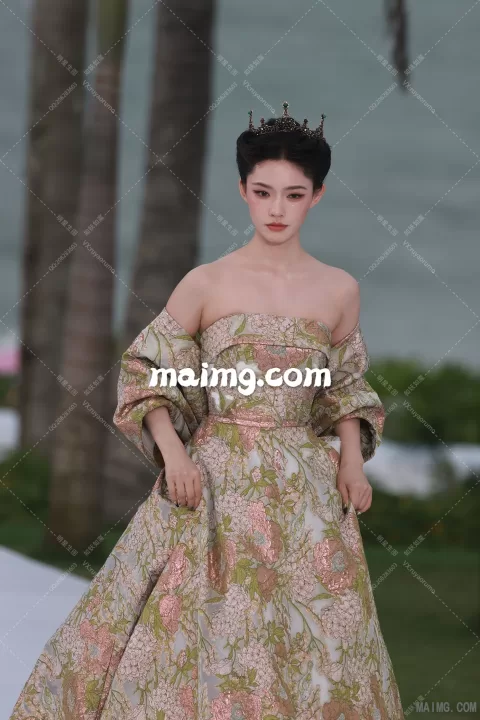 林允 elle红毯